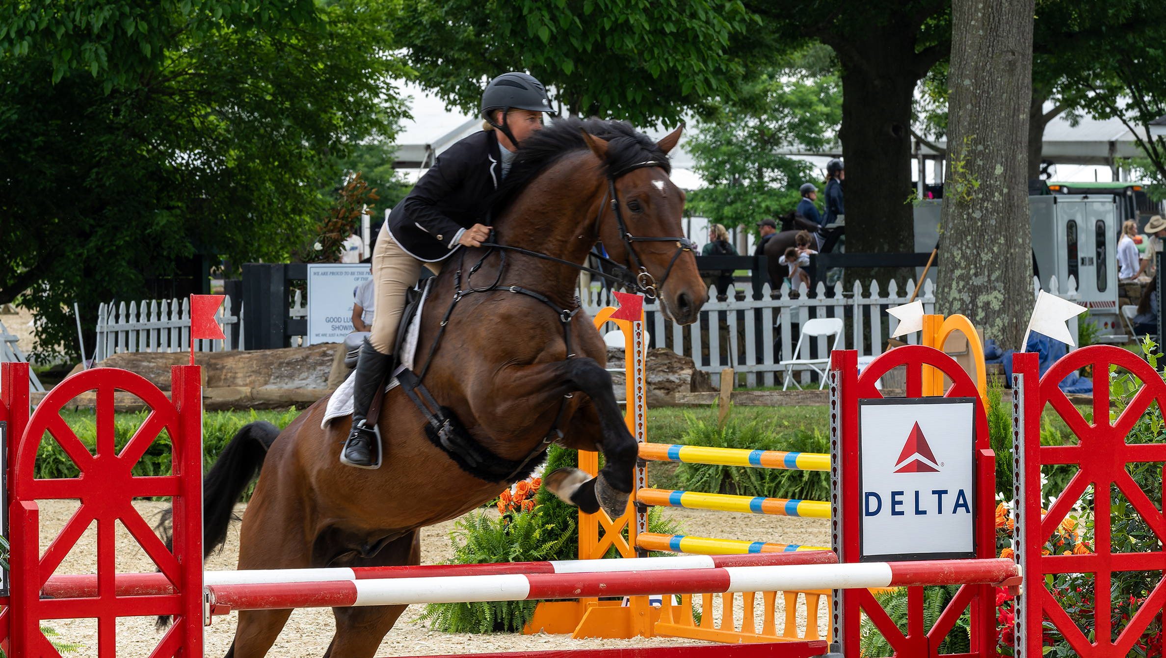 Horse Shows